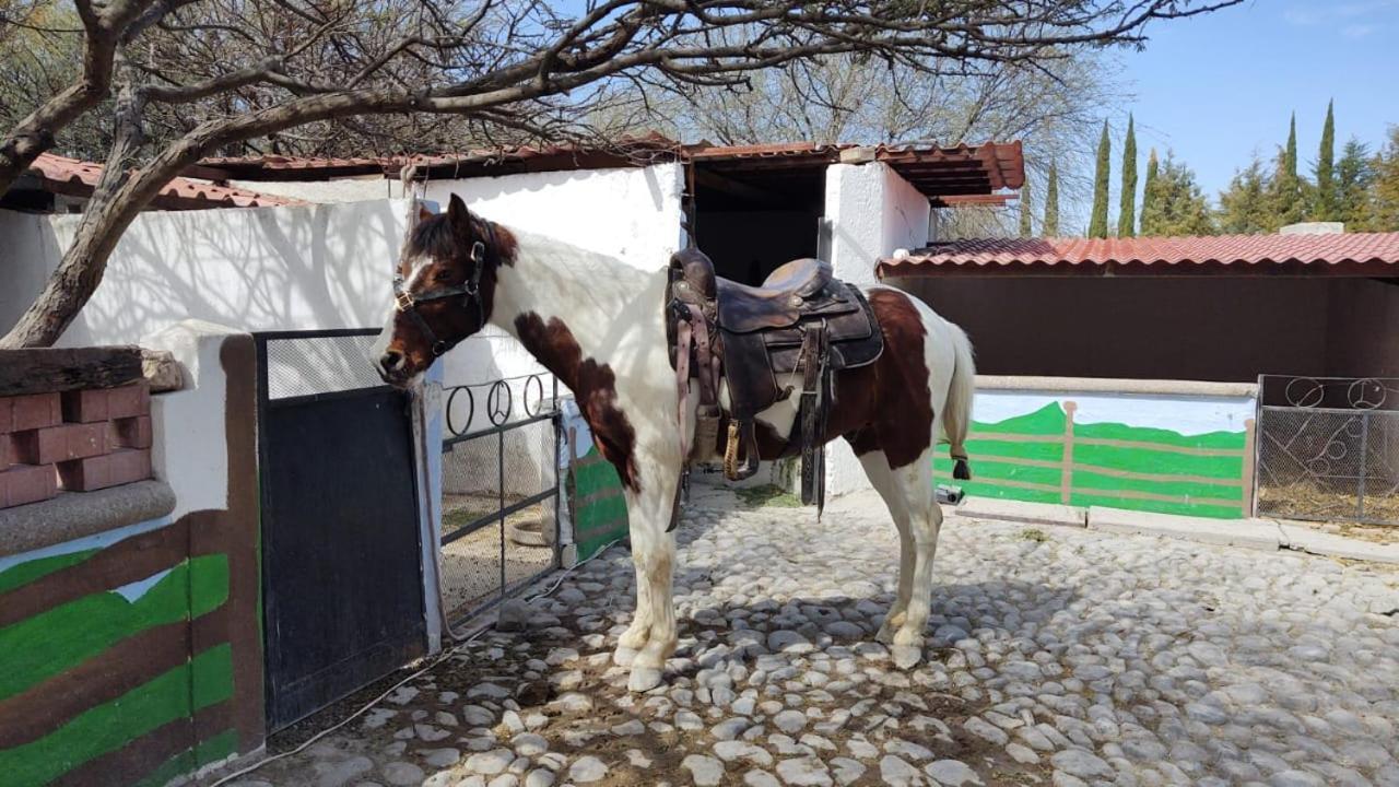 Rancho Labradores Atotonilco (Guanajuato) Exterior foto