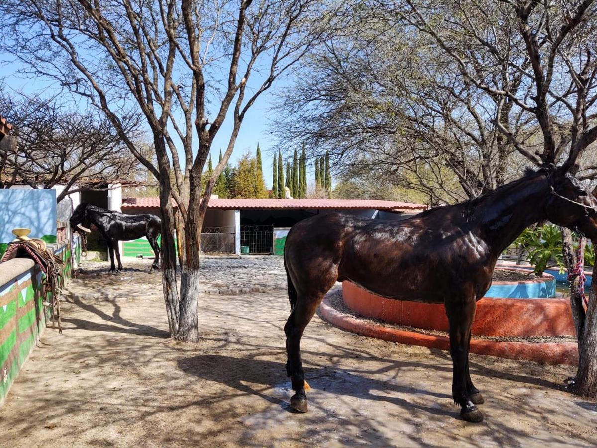 Rancho Labradores Atotonilco (Guanajuato) Exterior foto
